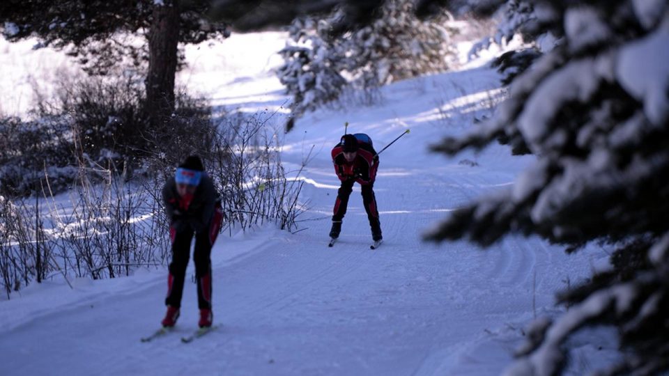 Kayaklı koşucular kar yağışının ardından asfalttan piste çıktı